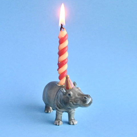 Hippo Cake Topper ~ Zoo Theme Birthday