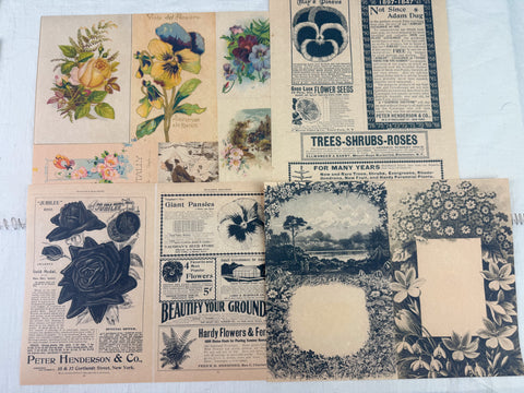 Botanical and Nature Ephemera Scrapbooking Kit